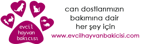 Evcil Hayvan Bakıcısı